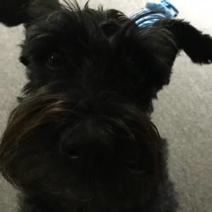 Meet your Posher, Linda